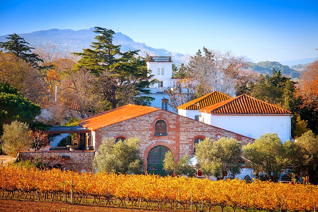 Le domaine de Rombeau – Entre vin de prestige et patrimoine