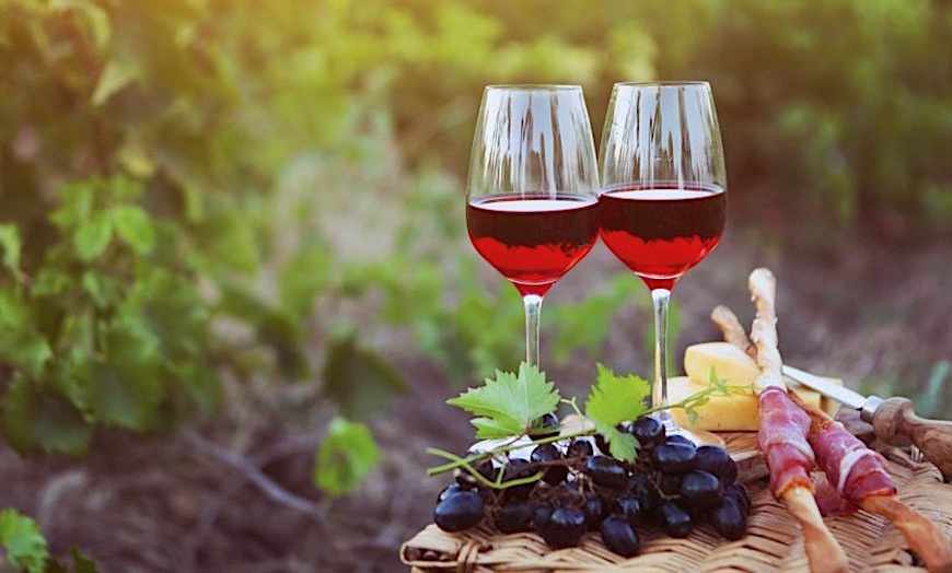 🍷Le domaine de Rombeau – Entre vin de prestige et patrimoine
